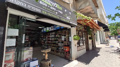 תן לחיות שנקין 39