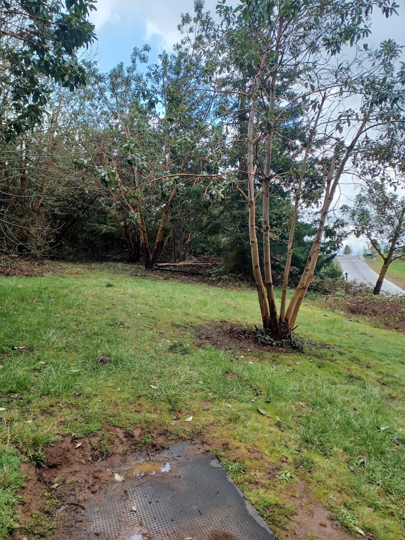 Willamette Disc Golf Course photo 2
