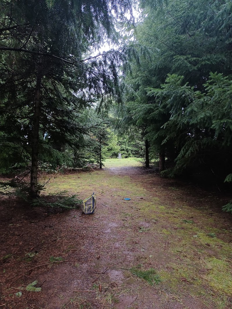 Willamette Disc Golf Course photo 1