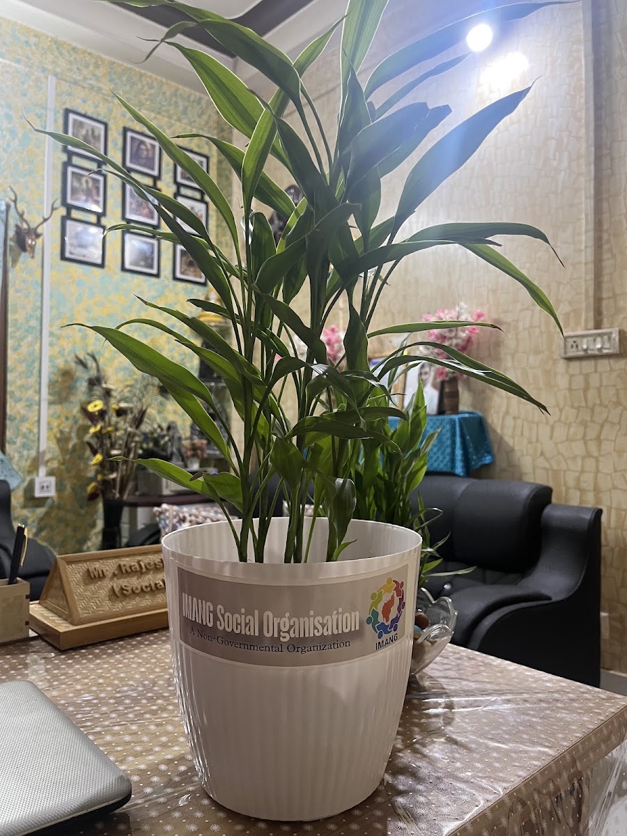 IMANG Social Organization Google photo 1