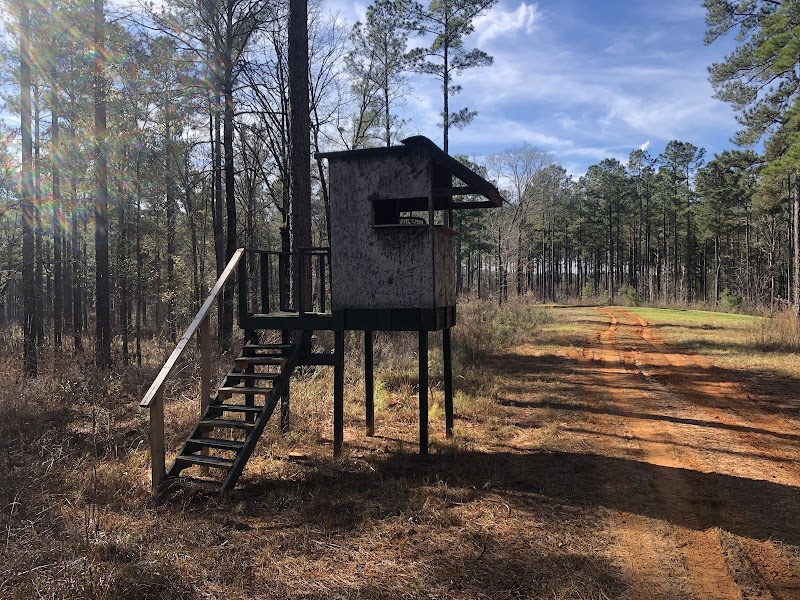 Master Rack Lodge - Photo 6