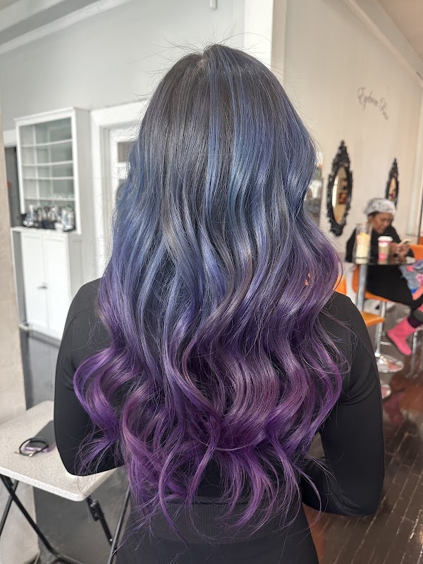 SALON DNA HAIR portfolio