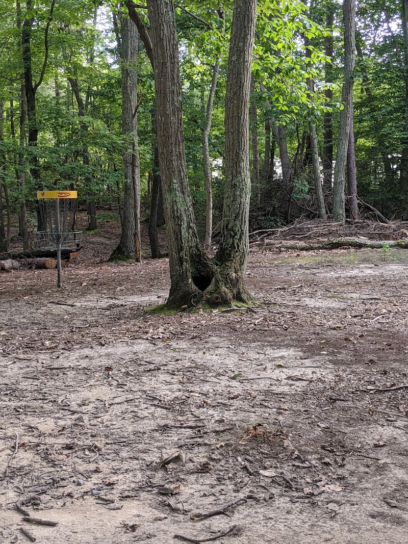 Pohick Bay Regional Park Disc Golf Course photo 1