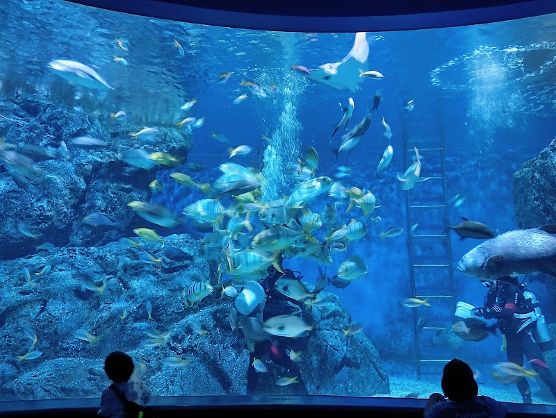 Sea Life Bangkok океанариум