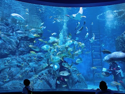 SEA LIFE Bangkok