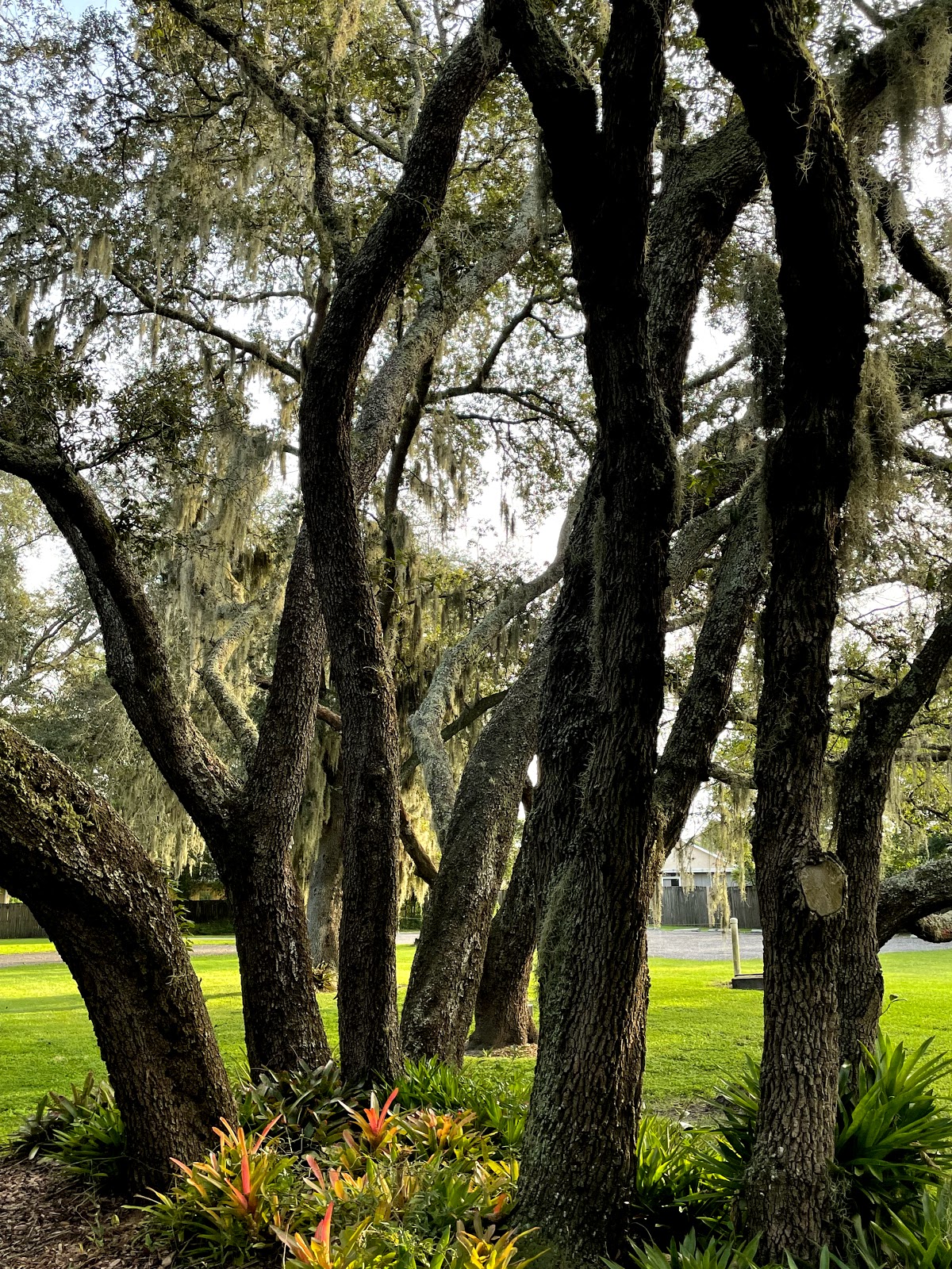 The Oaks at St. Mark's Event Venue: Google Places image 3