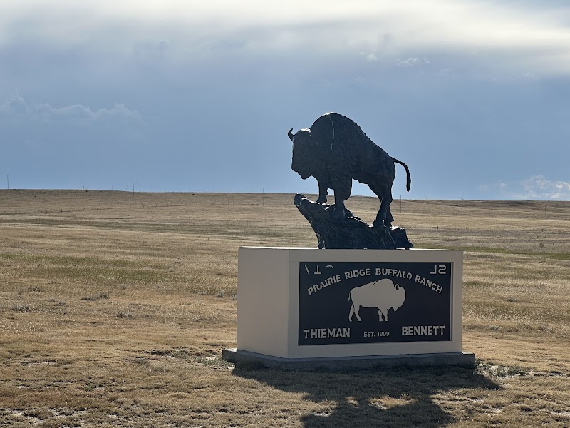 Prairie Ridge Buffalo Ranch - Photo 6