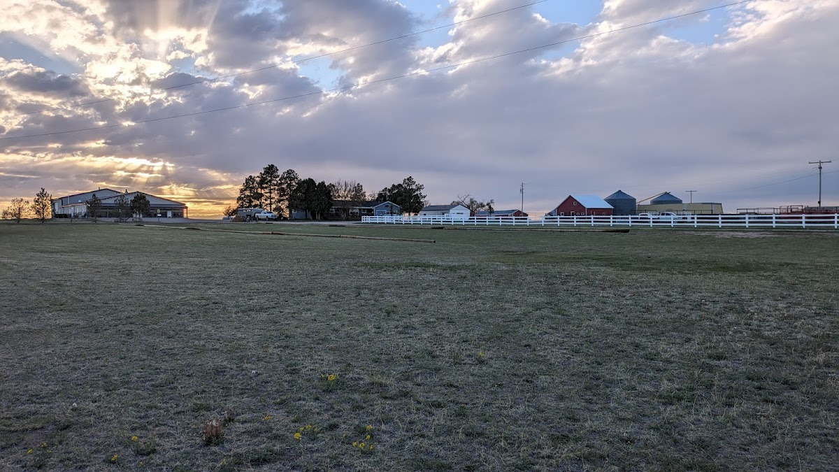 Prairie Ridge Buffalo Ranch