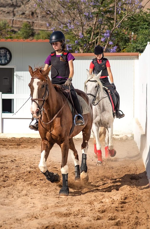 Horseback Riding in Arguineguín