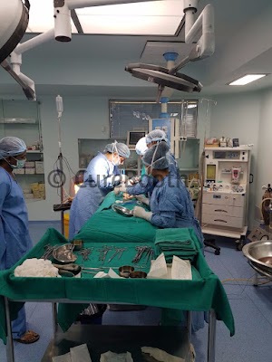 Dr Sweena Arora