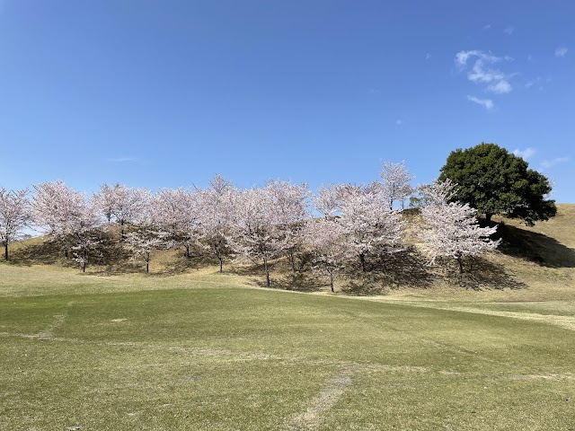 Sunrise Hills Country Club - Photo 5
