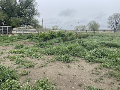 Buffalo Community Garden (WY)