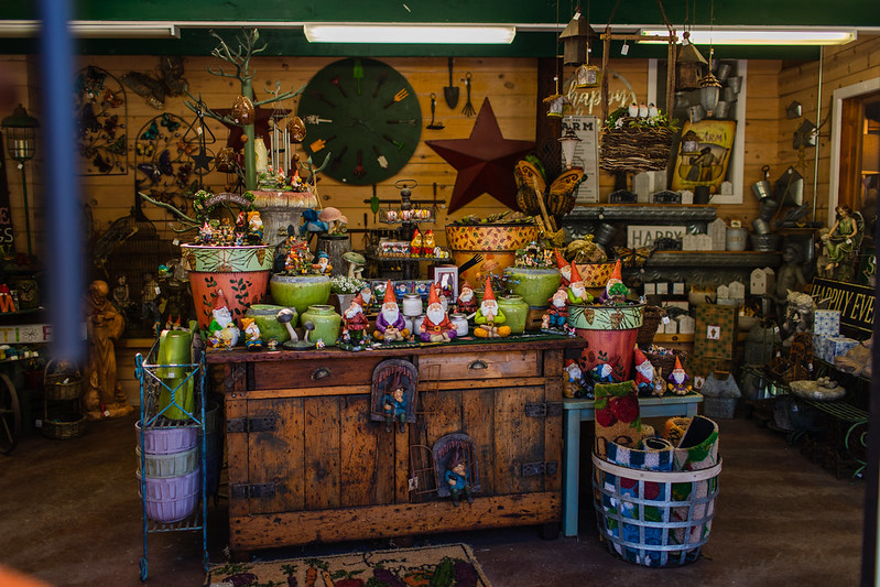 Linn's Farm Store photo 4