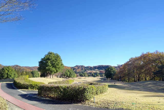Golden Lakes Country Club - Photo 4