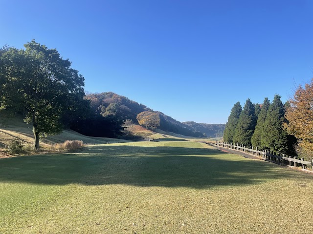 Golden Lakes Country Club - Photo 9
