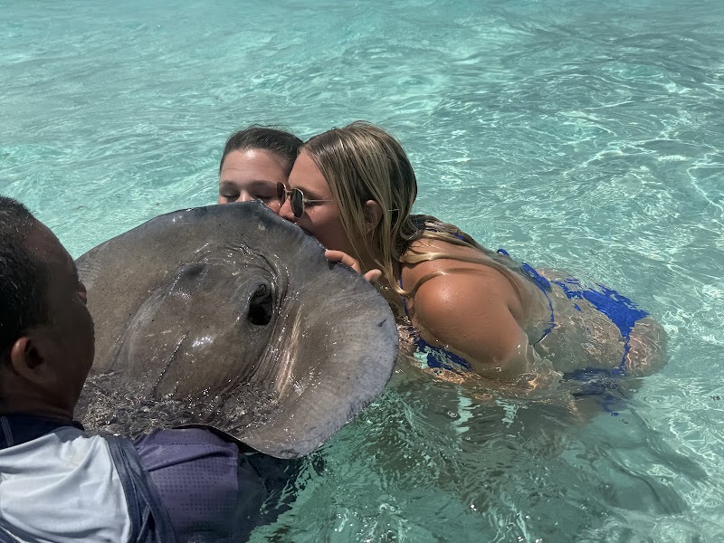 Stingray Sailing photo 3