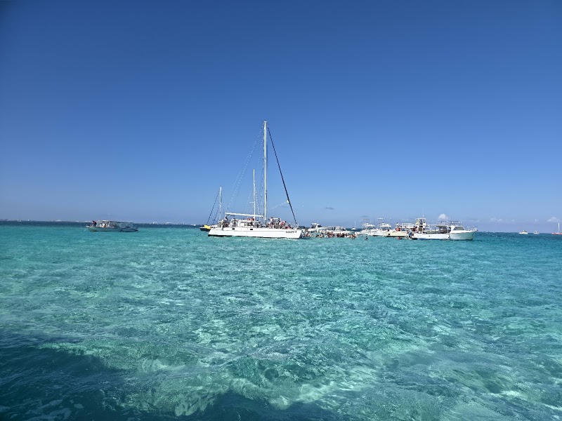 Stingray Sailing photo 2