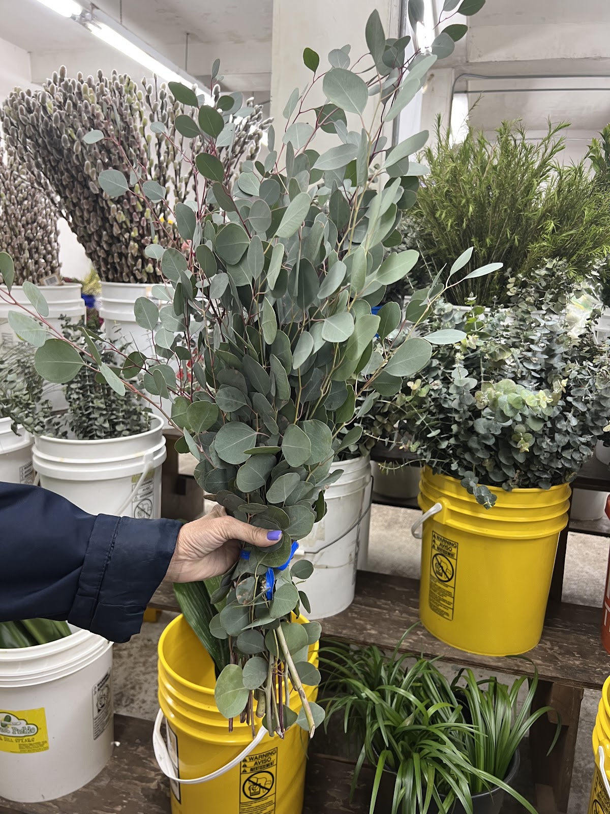 Carlstedt's Wholesale Florist: Google Places image 4