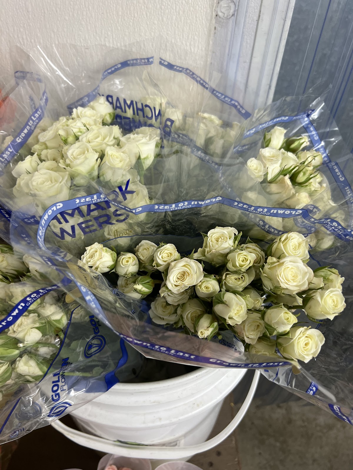Carlstedt's Wholesale Florist: Google Places image 3