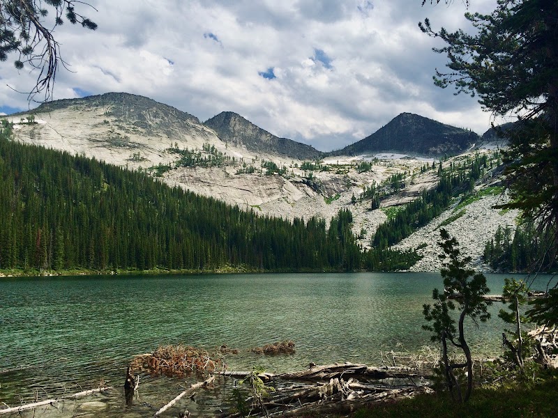Alpine Arms & Adventures photo