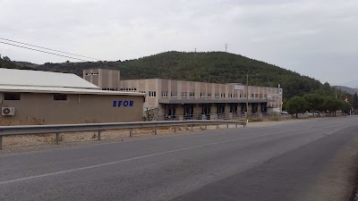 Efor Soğuk Hava Depoları - Nakliyat