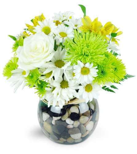 Anne's Flowers & Gifts: Google Places image 4