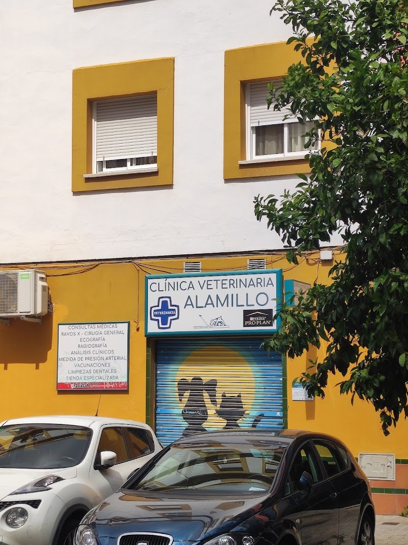 Clínica Veterinaria Alamillo