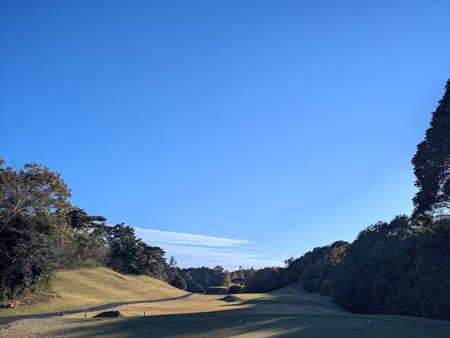 Central Golf Club - Photo 3