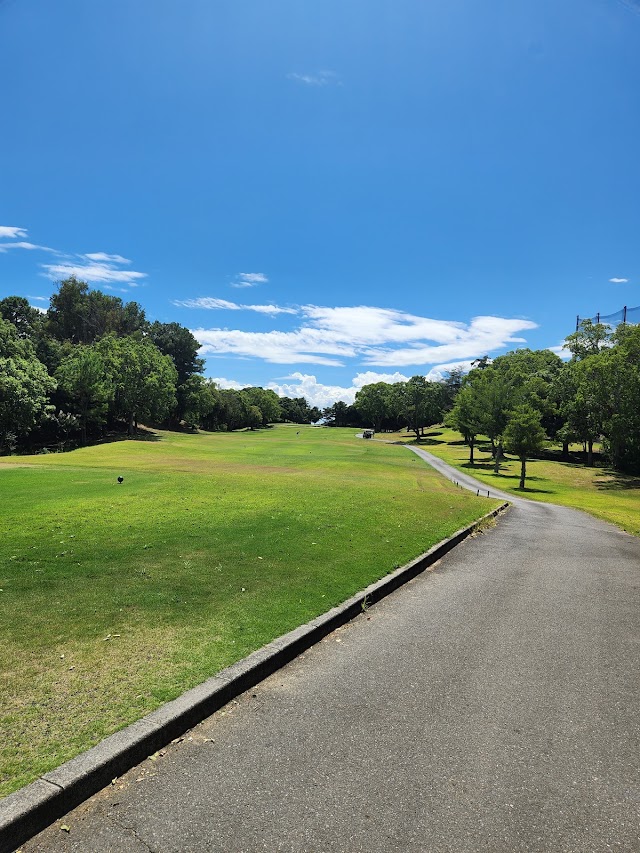 Central Golf Club - Photo 9