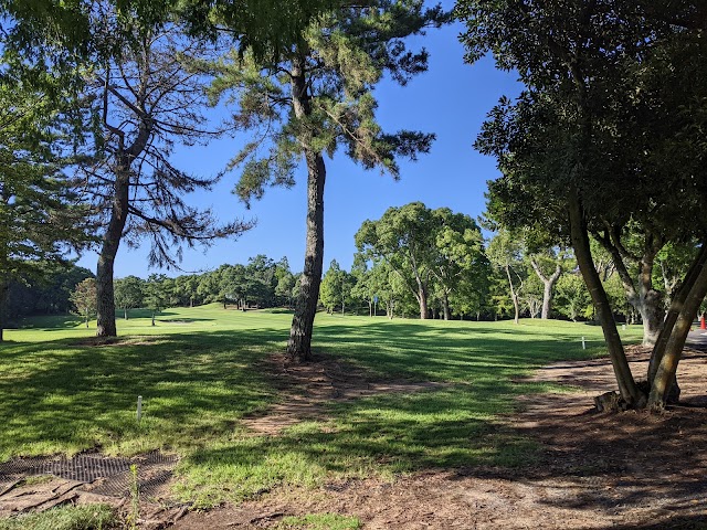 Central Golf Club - Photo 5