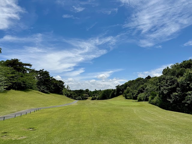 Central Golf Club - Photo 2