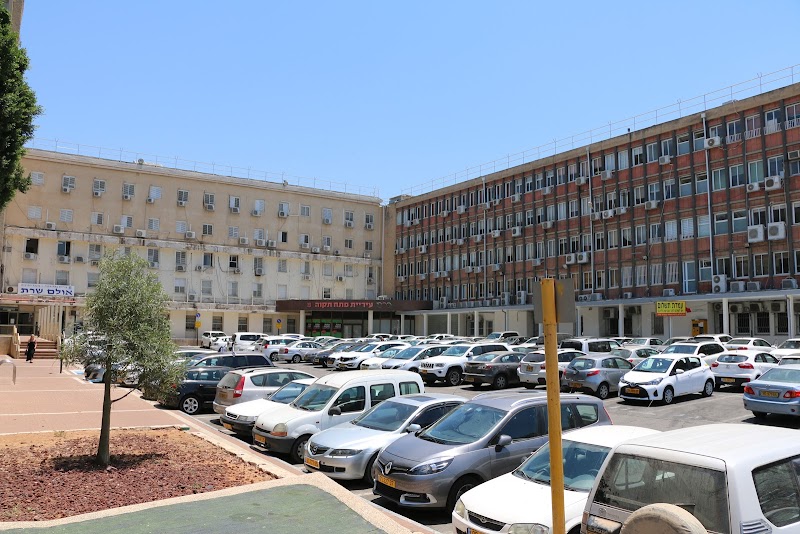 תמונה של שרת פתח תקווה - אולם אירועים תרבות ובידור