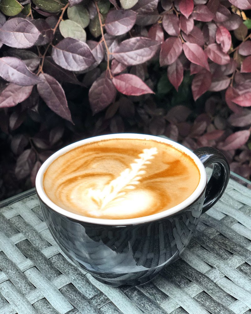 Guillermo's Gourmet Coffee photo 2