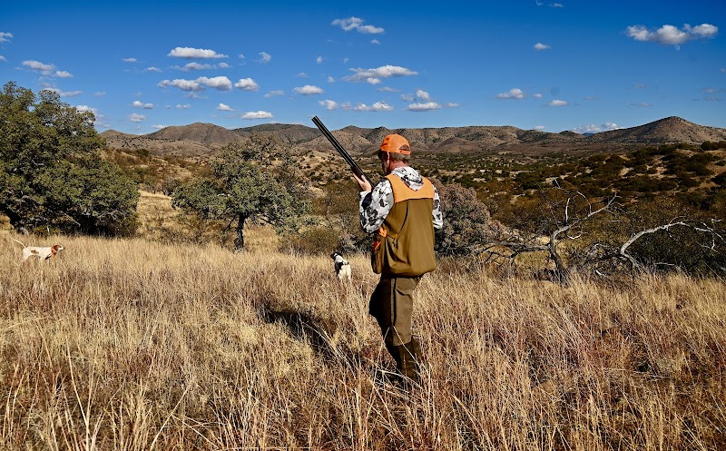 Dave Brown Outfitters -Orvis Endorsed Arizona Quail Hunting Guides - Photo 1