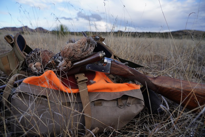 Dave Brown Outfitters -Orvis Endorsed Arizona Quail Hunting Guides - Photo 6
