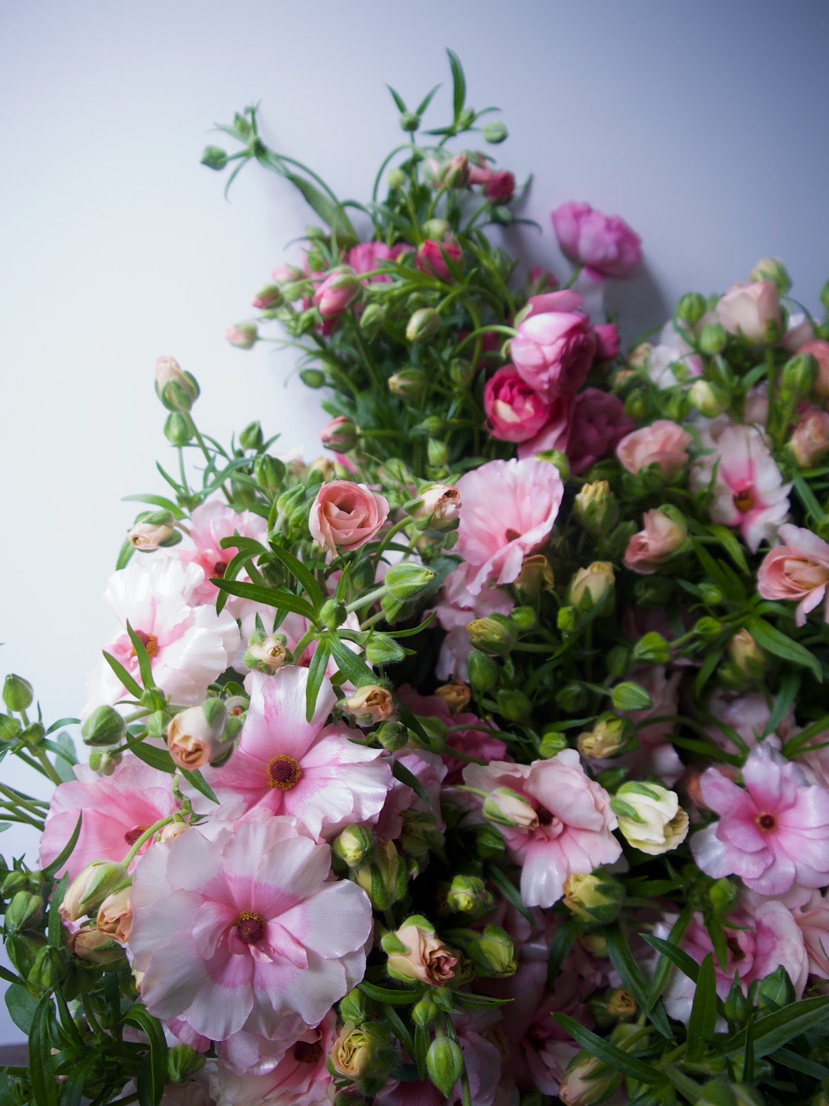 Fieldwork Flowers: Google Places image 3