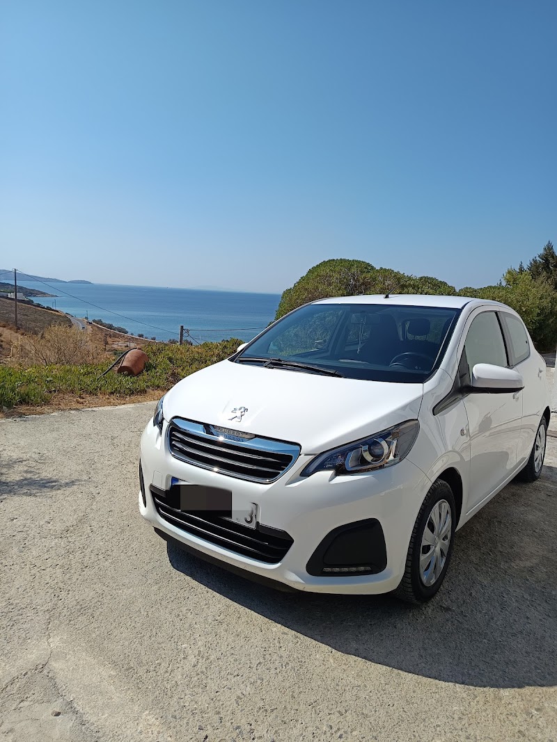 Discover Andros Rentals