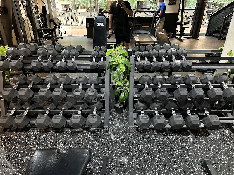 GoGym Plus Mckinley