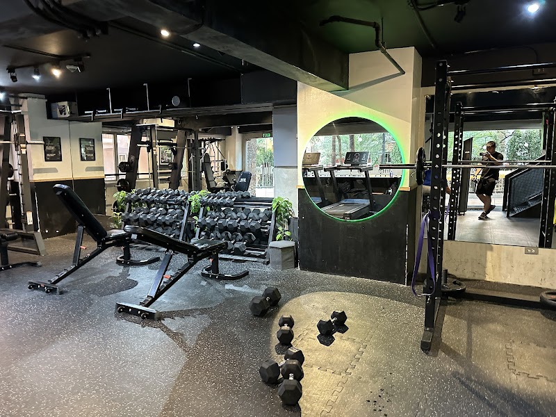 GoGym Plus Mckinley