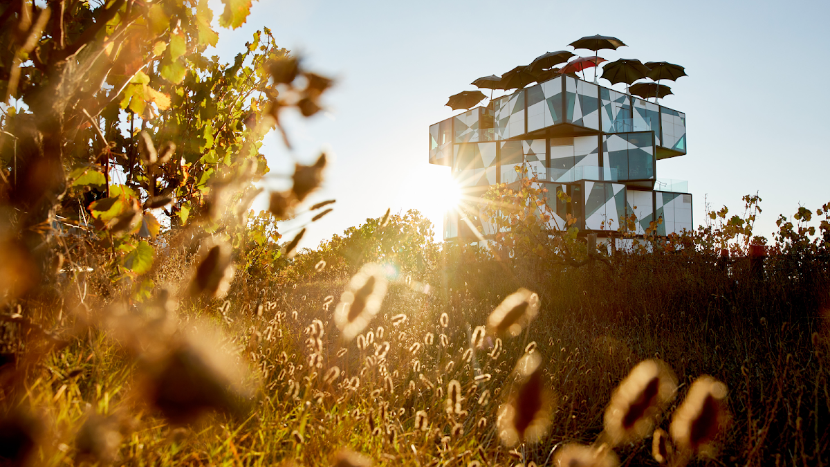 The d'Arenberg Cube