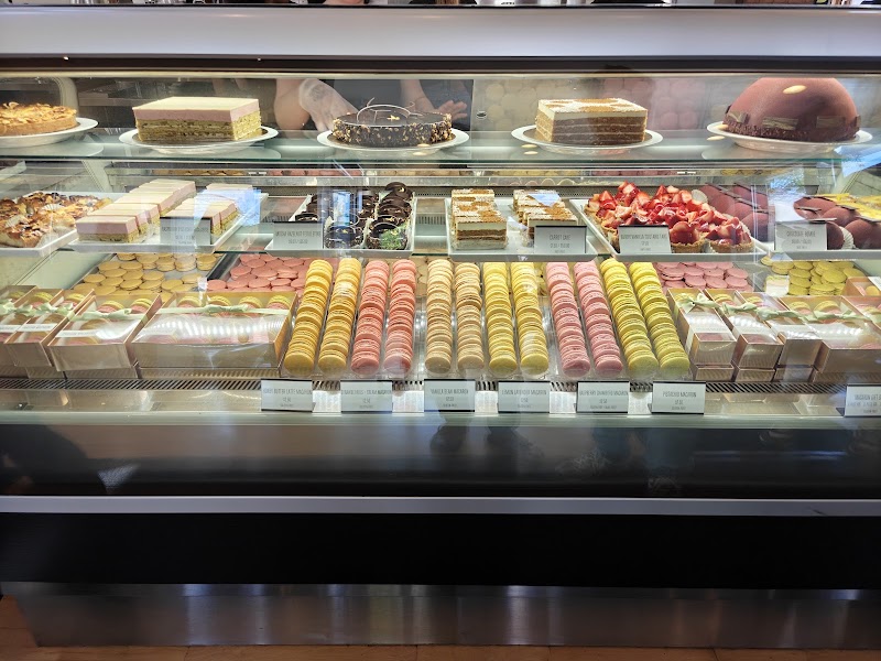 Pistacia Vera photo 3