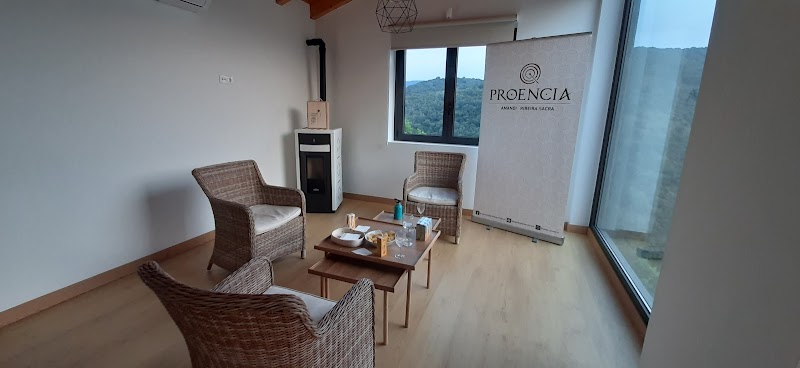 Bodega Proencia photo 4