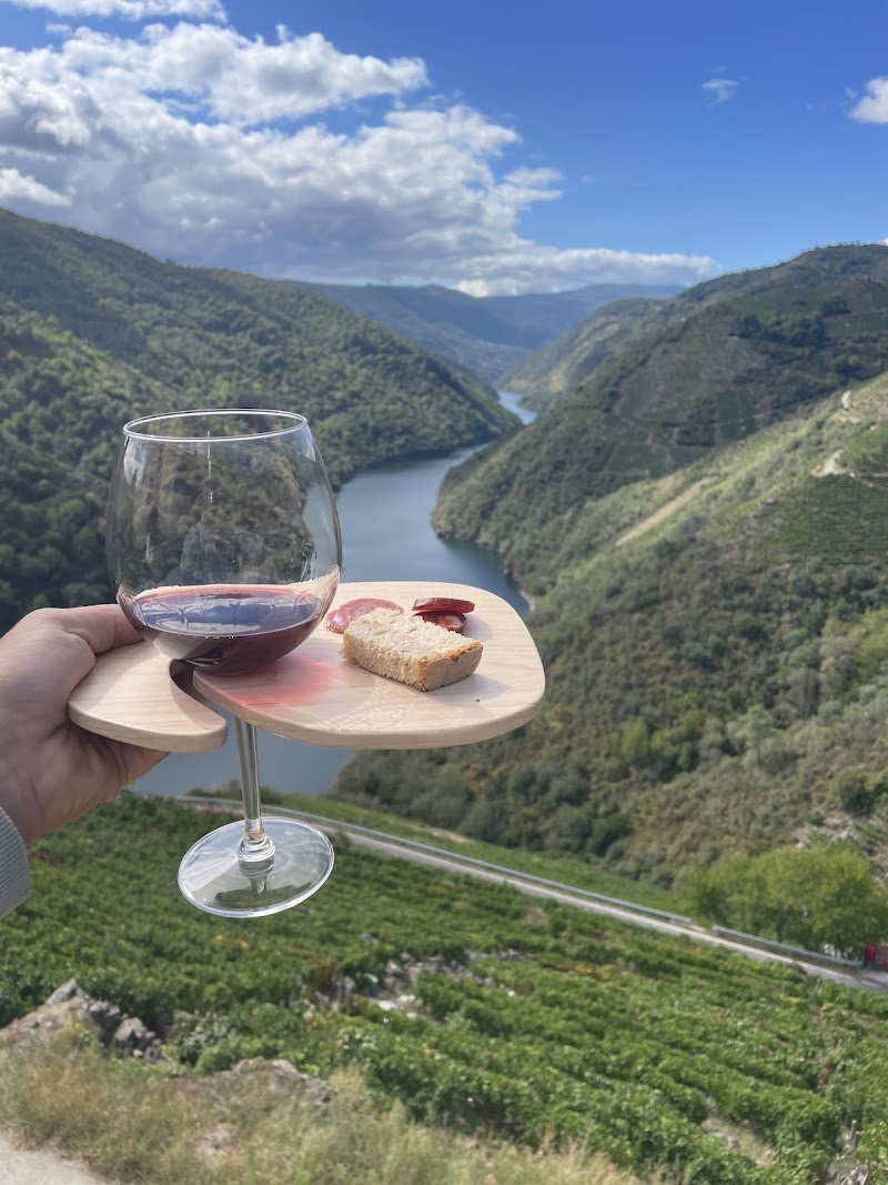 Bodega Proencia photo 2