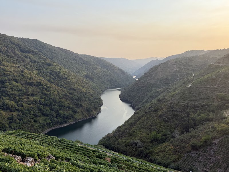 Bodega Proencia photo 1