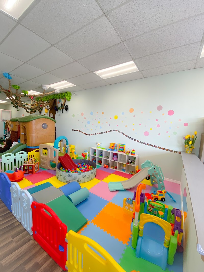 The Kids Social Club — Indoor Playground in Ruskin