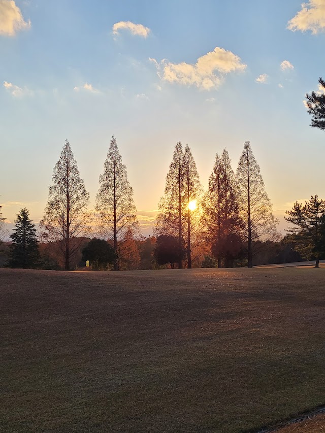 Iga Golf Course - Photo 5