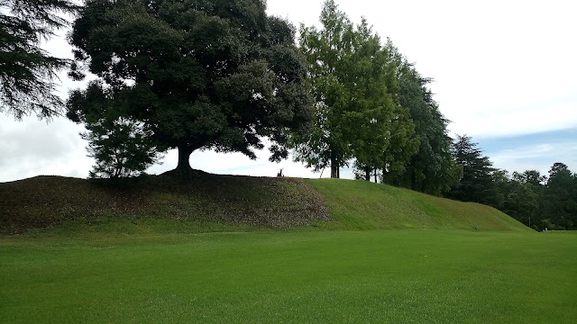 Iga Golf Course - Photo 9
