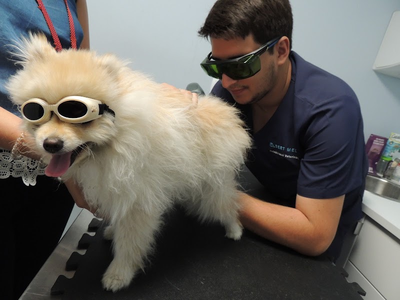 Clínica veterinària VET2.0 Urg. 24h