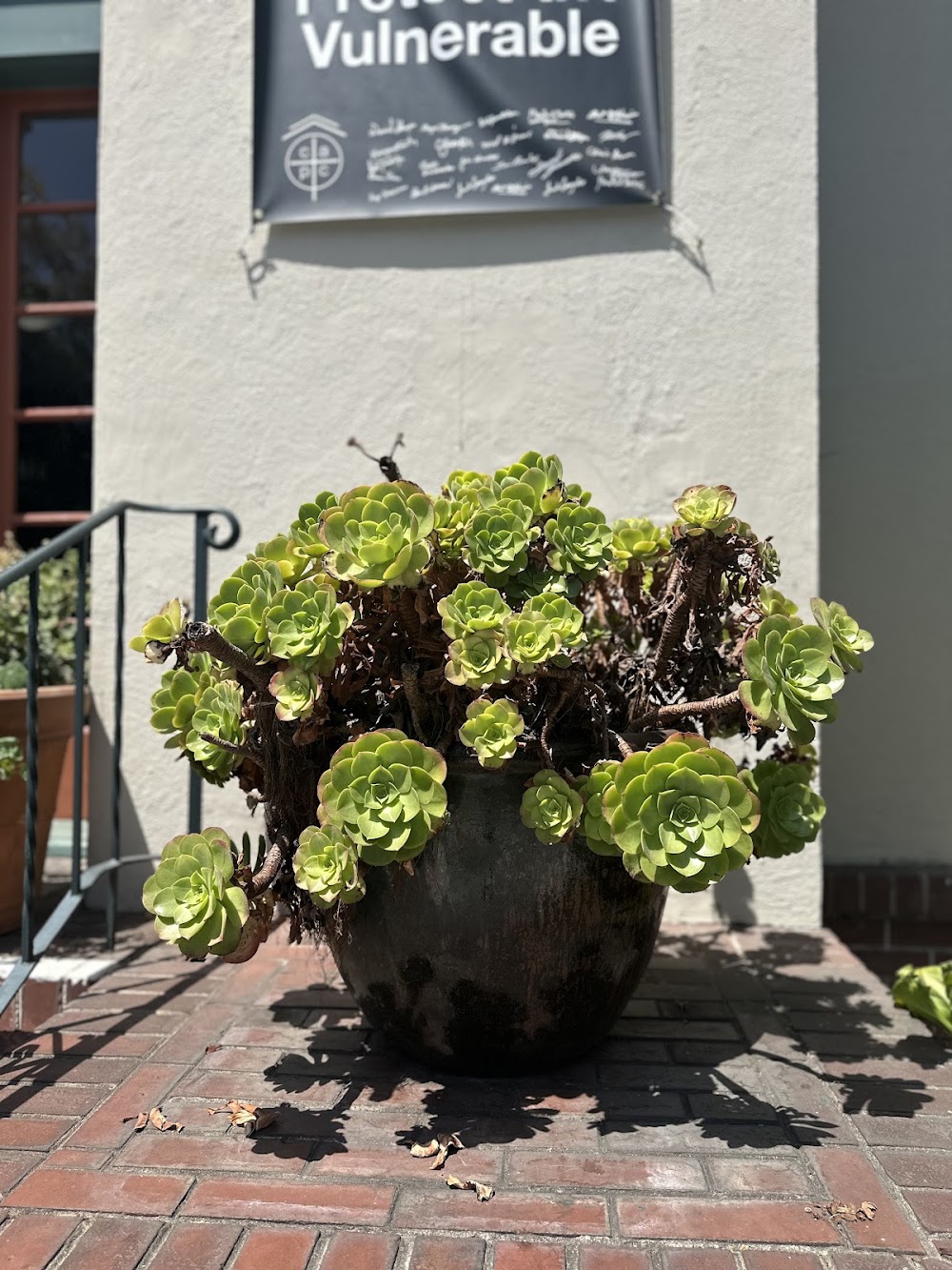 College Avenue Presbyterian photo