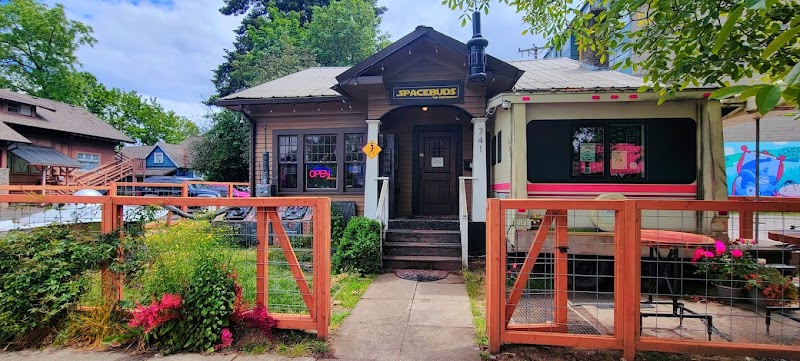 Video tour of SpaceBuds The Dispensary retail environment